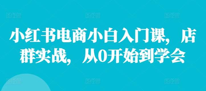 小红书电商小白入门课，店群实战，从0开始到学会|无忧资源社