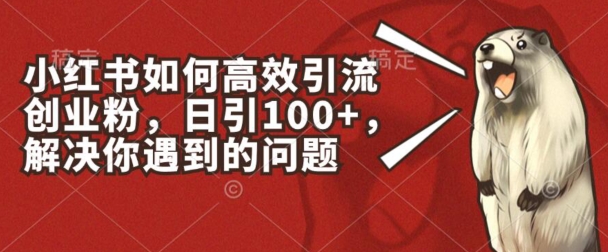 小红书如何高效引流创业粉,日引100+,解决你遇到的问题 小红书如何高效引流创业粉,日引100+,解决你遇到的问题