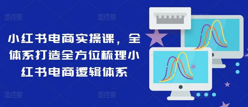 小红书电商实操课，全体系打造全方位梳理小红书电商逻辑体系|无忧资源社