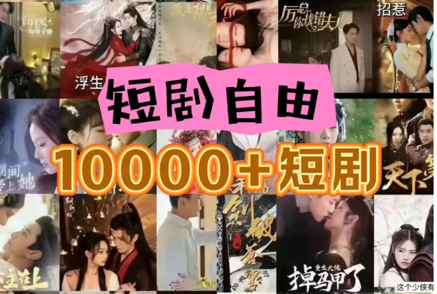 打造完全属于自己的个人短剧库，实现网盘拉新与私域变现的完美融合！|无忧资源社