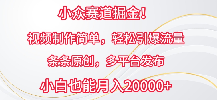 小众赛道掘金，视频制作简单，轻松引爆流量，条条原创，多平台发布_无忧资源社|无忧资源社