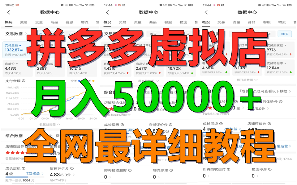 拼多多虚拟电商训练营月入50000+你也行，暴利稳定长久，副业首选|无忧资源社