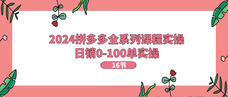 2024拼多多全系列课程实操，日销0-100单实操【16节课】|无忧资源社