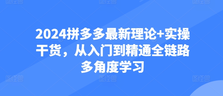 2024拼多多最新理论+实操干货，从入门到精通全链路多角度学习|无忧资源社