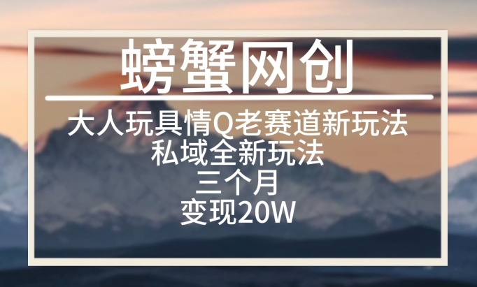 大人玩具情Q用品赛道私域全新玩法，三个月变现20W，老项目新思路_无忧资源社|无忧资源社