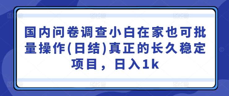 国内问卷调查小白在家也可批量操作(日结)真正的长久稳定项目，日入1k【揭秘】|无忧资源社