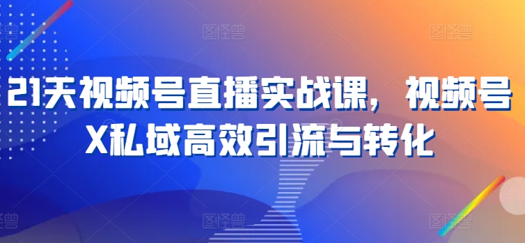 21天视频号直播实战课，视频号X私域高效引流与转化|无忧资源社