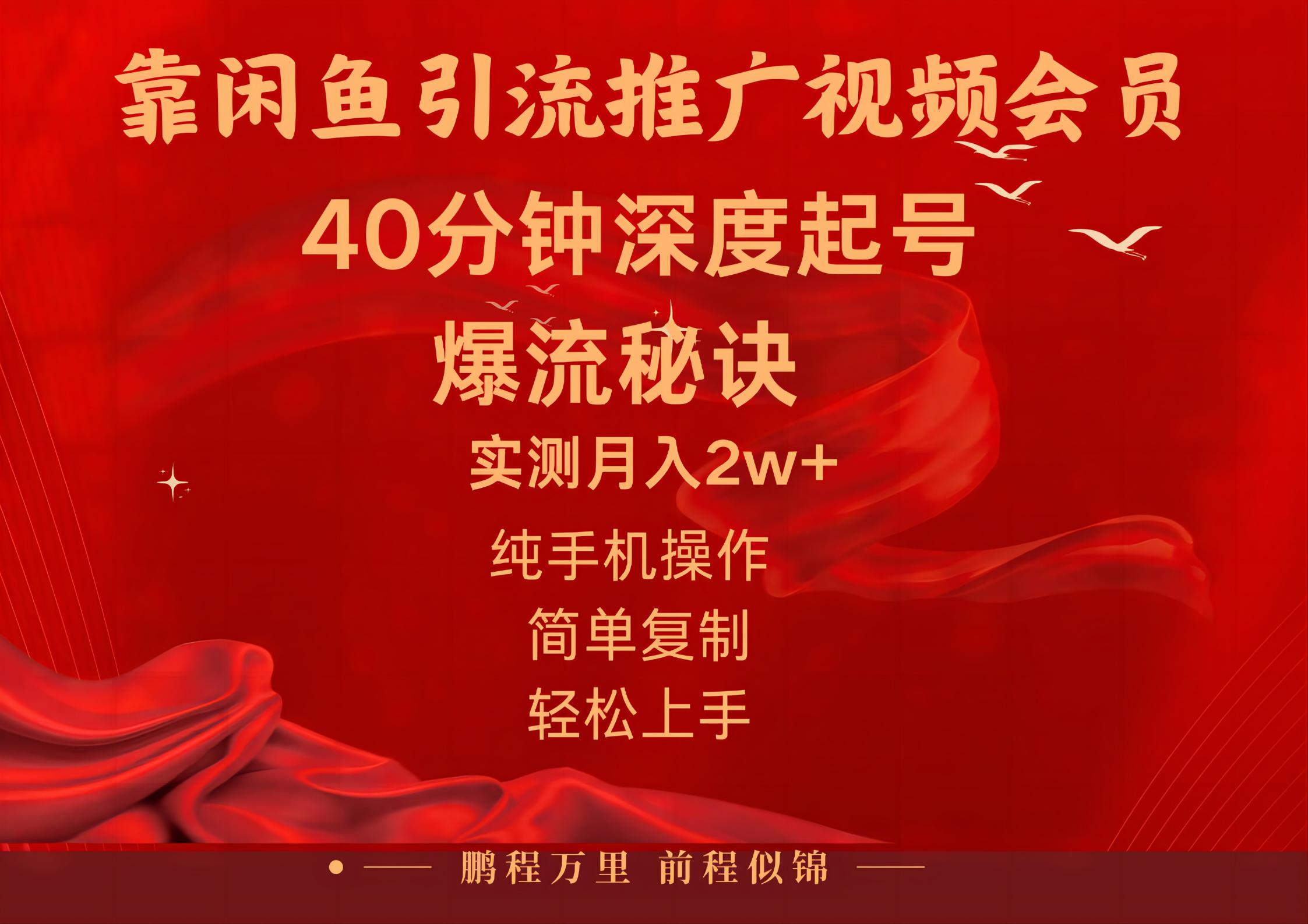 闲鱼暴力引流推广视频会员，能做到日入2W+，操作简单|无忧资源社