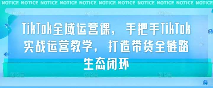 TikTok全域运营课，手把手TikTok实战运营教学，打造带货全链路生态闭环|无忧资源社