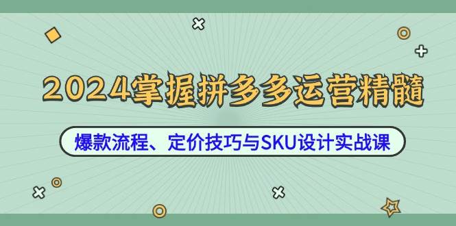 （12703期）2024掌握拼多多运营精髓：爆款流程、定价技巧与SKU设计实战课|无忧资源社