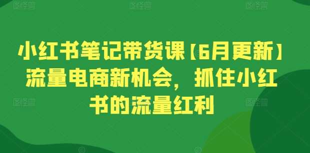 小红书笔记带货课【6月更新】流量电商新机会，抓住小红书的流量红利|无忧资源社