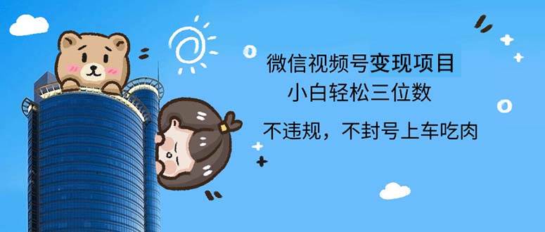 （12660期）2024最新微信视频号，0撸项目，自己玩，小白轻松日入三位数|无忧资源社