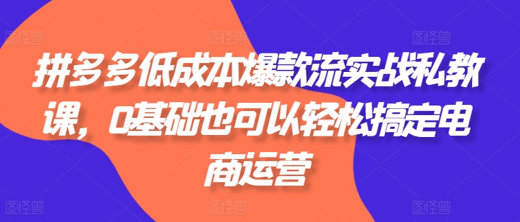 拼多多低成本爆款流实战私教课，0基础也可以轻松搞定电商运营|无忧资源社