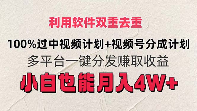 （11862期）利用软件双重去重，100%过中视频+视频号分成计划小白也可以月入4W+|无忧资源社