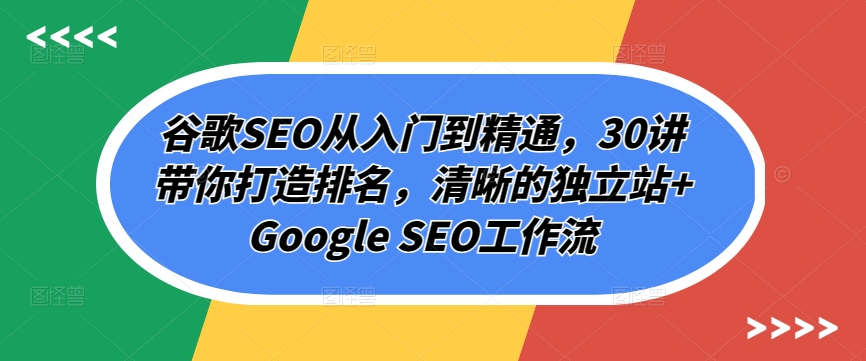谷歌SEO从入门到精通，30讲带你打造排名，清晰的独立站+Google SEO工作流_无忧资源社|无忧资源社