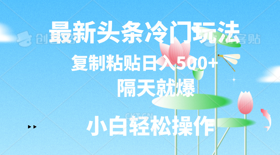 最新头条冷门玩法，隔天就爆，复制粘贴日入500+|无忧资源社
