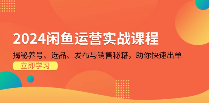 （13290期）2024闲鱼运营实战课程：揭秘养号、选品、发布与销售秘籍，助你快速出单|无忧资源社