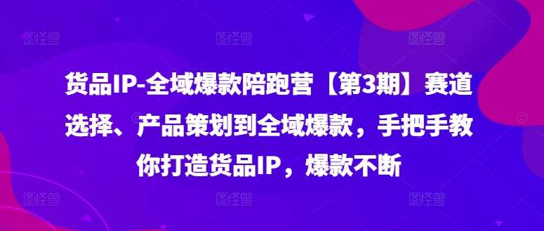 货品IP全域爆款陪跑营【第3期】赛道选择、产品策划到全域爆款，手把手教你打造货品IP，爆款不断|无忧资源社