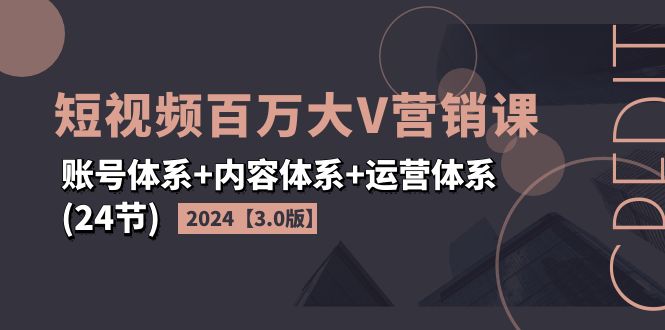 （11795期）2024短视频·百万大V营销课【3.0版】账号体系+内容体系+运营体系(24节)|无忧资源社