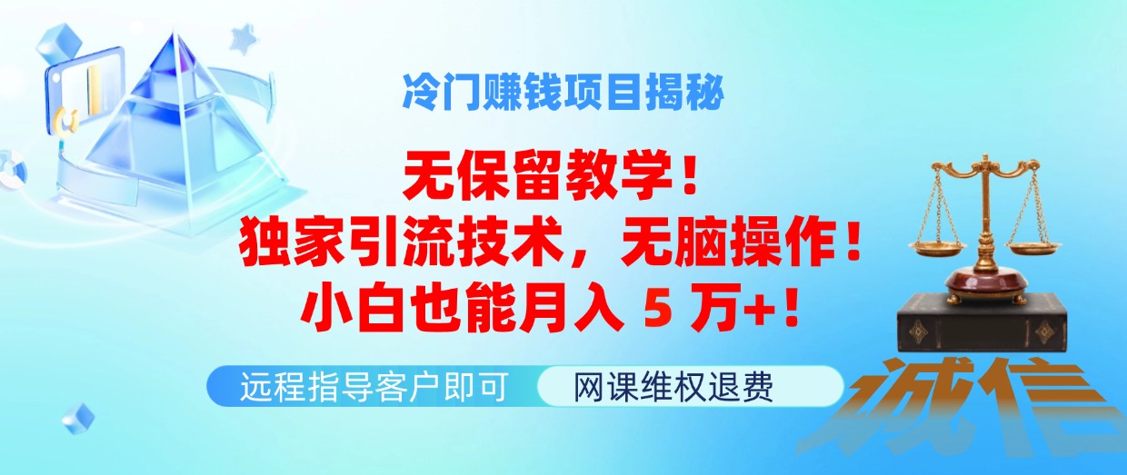 （11864期）冷门赚钱项目无保留教学！独家引流技术，无脑操作！小白也能月入5万+！|无忧资源社