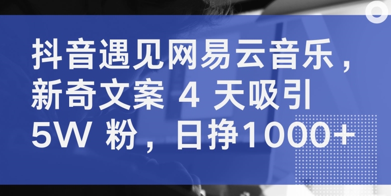 抖音遇见网易云音乐，新奇文案 4 天吸引 5W 粉，日挣1000+_无忧资源社|无忧资源社