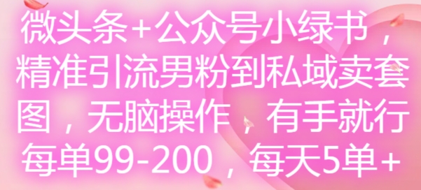 微头条+公众号小绿书，精准引流男粉到私域卖套图，无脑操作，有手就行，每单99-200，每天5单|无忧资源社