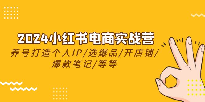 2024小红书电商实战营，养号打造IP/选爆品/开店铺/爆款笔记/等等_无忧资源社|无忧资源社
