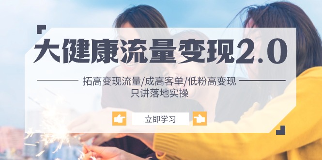 大健康 流量 变现2.0：拓高变现 流量/成高客单/低粉高变现/只讲落地实战|无忧资源社