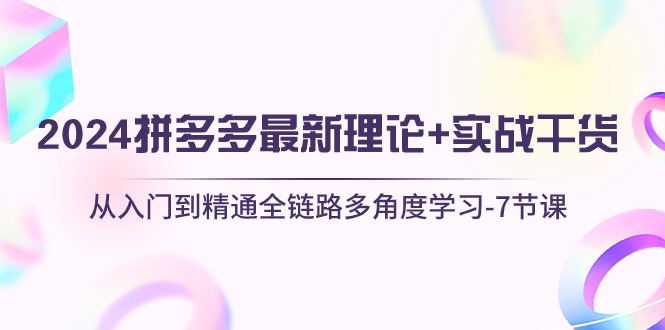 2024拼多多 最新理论+实战干货，从入门到精通全链路多角度学习-7节课|无忧资源社