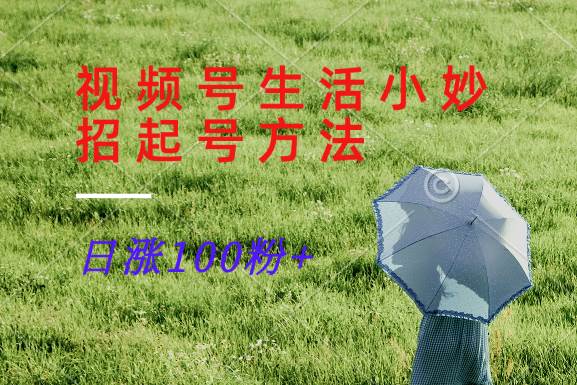 视频号生活小妙招分享赛道， 起号涨粉新方法，日涨100粉|无忧资源社
