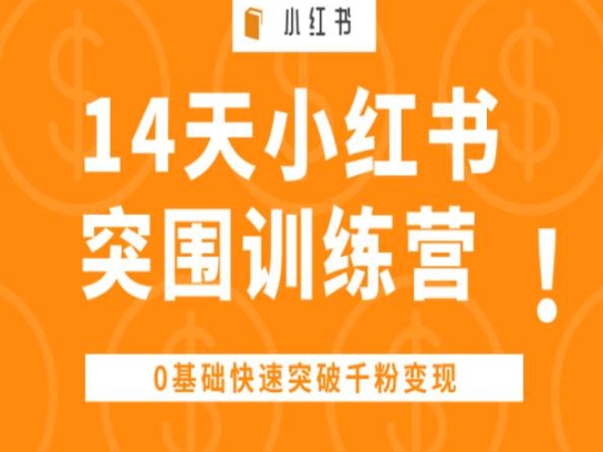 14天小红书突围训练营 ，0基础快速突破千粉变现|无忧资源社