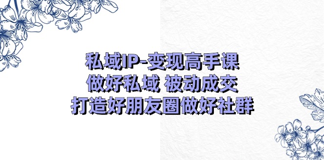 私域IP变现高手课：做好私域被动成交，打造好朋友圈做好社群|无忧资源社