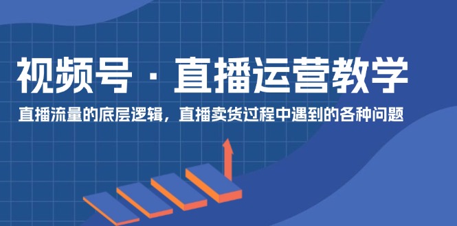 （11687期）视频号 直播运营教学：直播流量的底层逻辑，直播卖货过程中遇到的各种问题|无忧资源社
