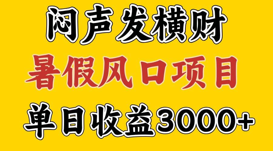 30天赚了7.5W 暑假风口项目，比较好学，2天左右上手|无忧资源社