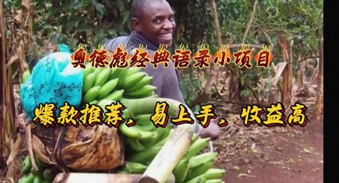 奥德彪经典语录小项目，爆款推荐，易上手，收益高|无忧资源社
