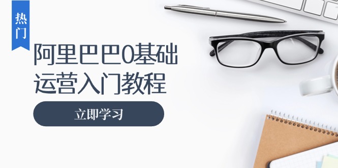 （13291期）阿里巴巴运营零基础入门教程：涵盖开店、运营、推广，快速成为电商高手|无忧资源社