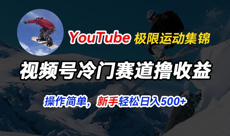 视频号冷门赛道撸收益，YouTube搬运极限运动集锦，暴力起号，操作简单流量高，轻松日入5张|无忧资源社