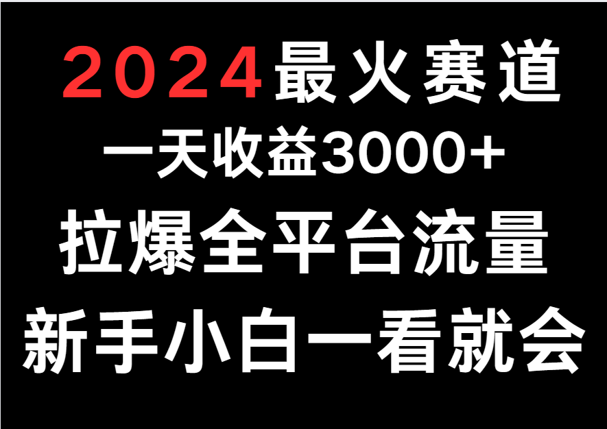 2024最火赛道，一天收一3000+.拉爆全平台流量，新手小白一看就会_无忧资源社|无忧资源社