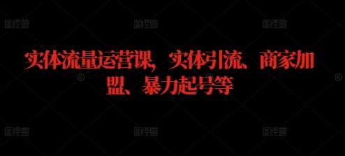 实体流量运营课，实体引流、商家加盟、暴力起号等|无忧资源社
