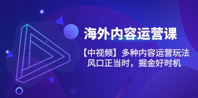 海外内容运营课【中视频】多种内容运营玩法 风口正当时 掘金好时机|无忧资源社