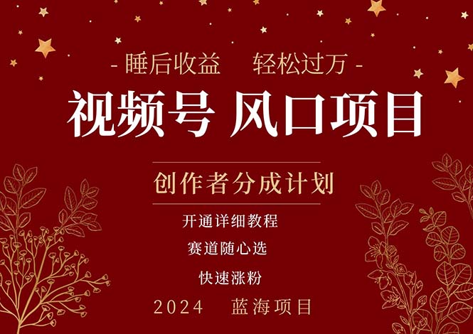 拥有睡眠收益的微信视频号大风口项目，轻松月入过万+，多赛道选择，可…|无忧资源社