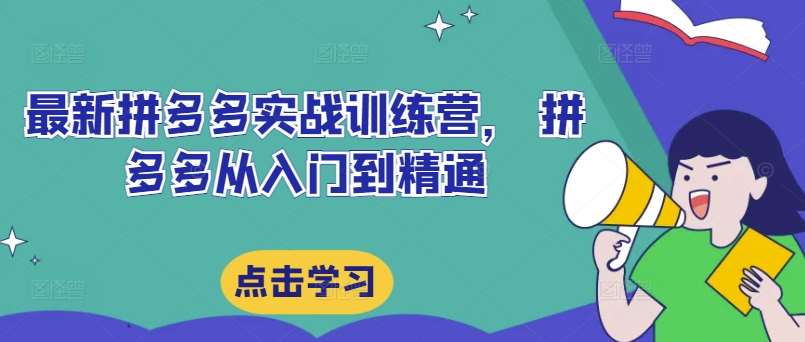 最新拼多多实战训练营， 拼多多从入门到精通|无忧资源社