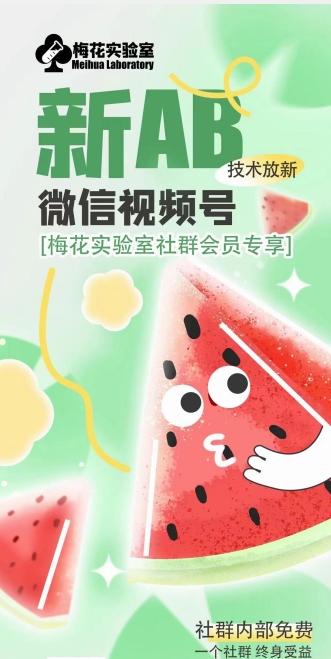 梅花实验室2024年AB技术视频号AB合成破解版|无忧资源社