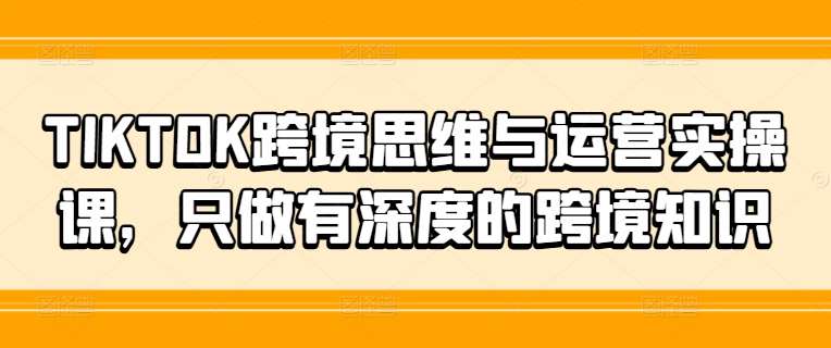 TIKTOK跨境思维与运营实操课，只做有深度的跨境知识|无忧资源社