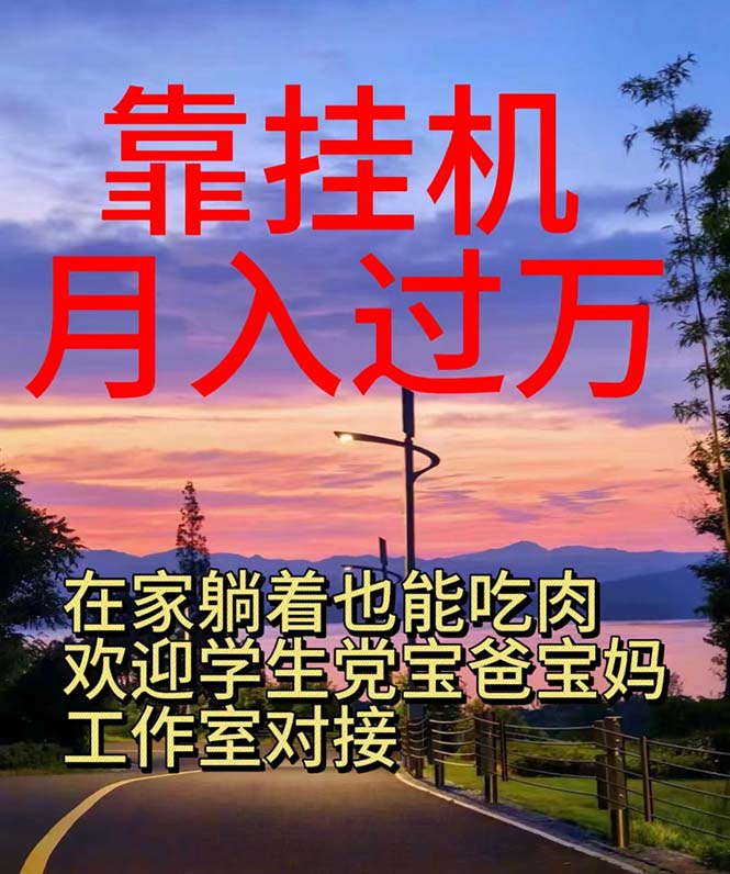 靠挂机，日入1000+，躺着也能吃肉，适合宝爸宝妈学生党工作室，电脑手…|无忧资源社