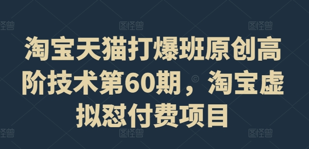 淘宝天猫打爆班原创高阶技术第60期，淘宝虚拟怼付费项目|无忧资源社