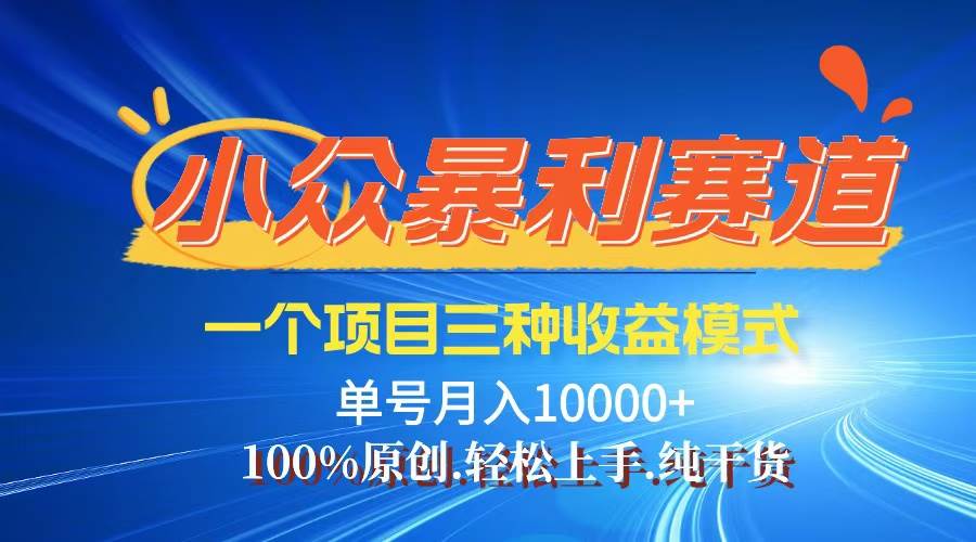 （12579期）【老人言】-视频号爆火赛道，三种变现方式，0粉新号调调爆款|无忧资源社
