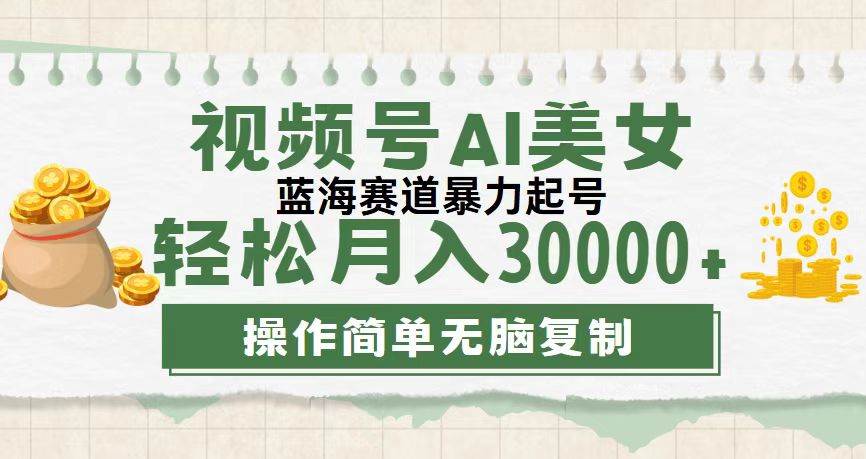 （12087期）视频号AI美女跳舞，轻松月入30000+，蓝海赛道，流量池巨大，起号猛，无…|无忧资源社