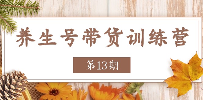 养生号-带货训练营【第13期】收益更稳定的玩法，让你带货收益爆炸|无忧资源社
