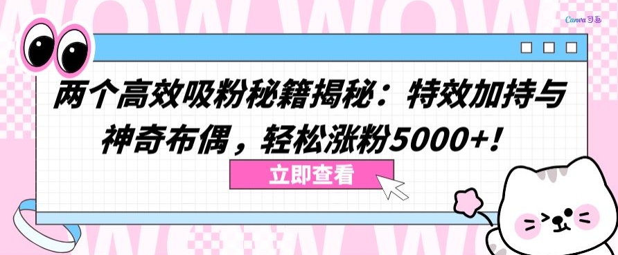 两个高效吸粉秘籍揭秘：特效加持与神奇布偶，轻松涨粉5000+_无忧资源社|无忧资源社